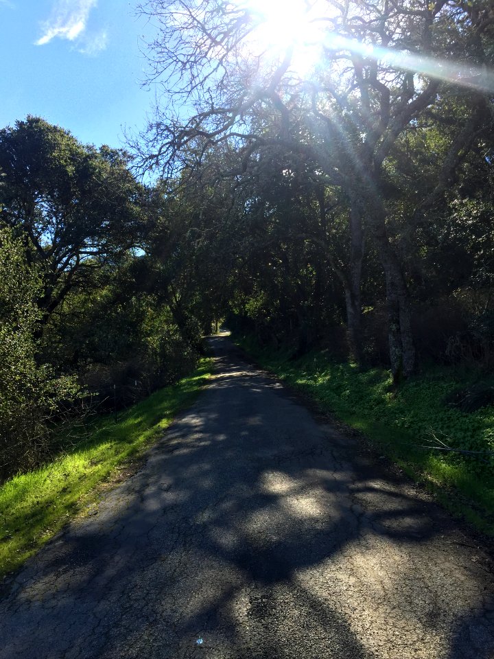 Hollister, United states