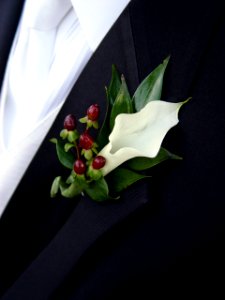 Corsage, Flowers, Wedding