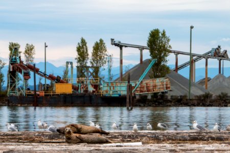 Everett, United states, Puget sound