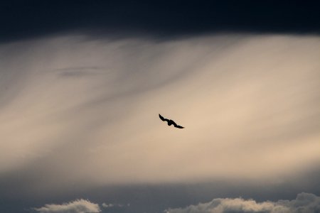 Everett, United states, Storm