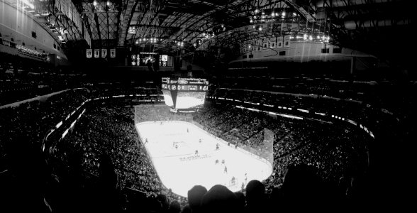 Sports, Ice rink, Bright