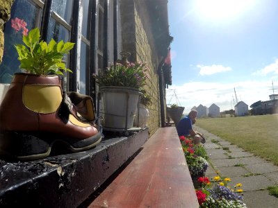 Deal, United kingdom, Plants