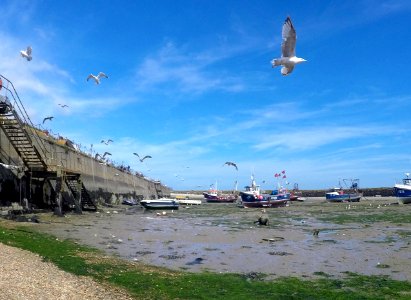 Folkestone, United kingdom, Fishing boats