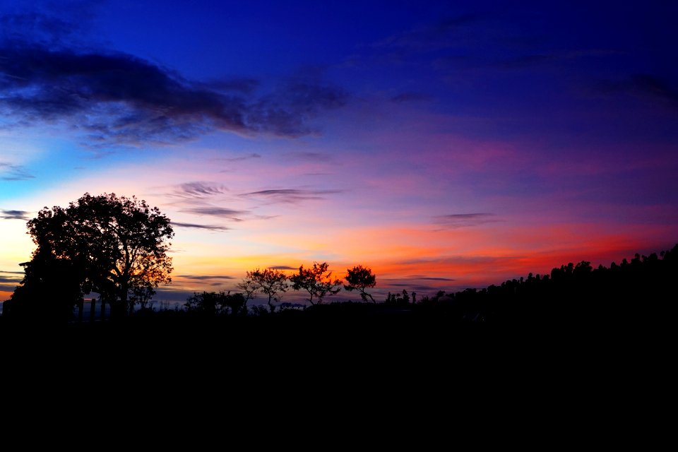 Taman nasional gunung gede pangrango, Indonesia, Gununggede