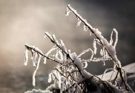 Lake, Mist, Snow