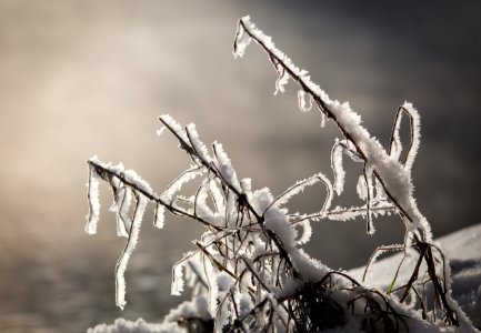 Lake, Mist, Snow photo