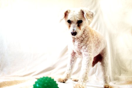 White, Ball, Old