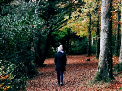 Lough gill, Ireland, Look around