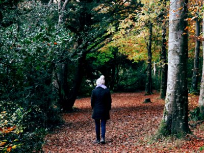 Lough gill, Ireland, Look around photo