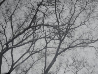 New york, United states, Snow