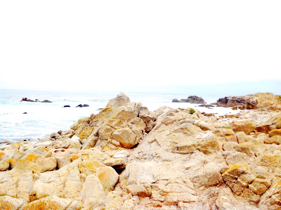 Pacific grove, California, United states