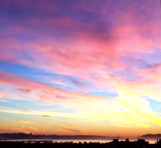 Southside, Berkeley, California