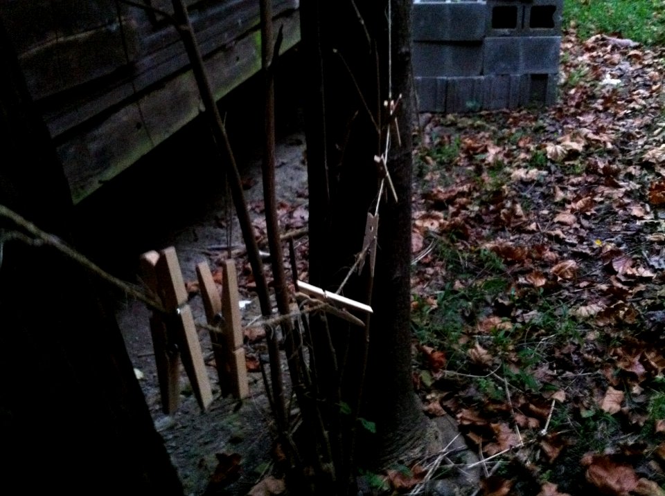 Barn, Clothesline, Clothespins