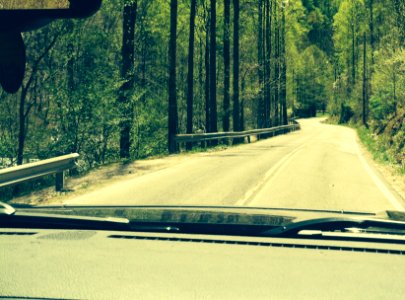 Guardrail, Summer, Sunlight