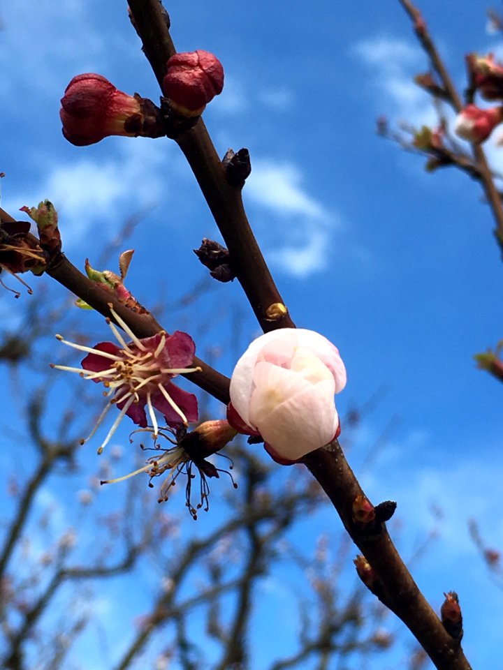Walliston, Australia, Spring