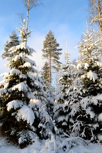 Finl, Savonlinna, Thisisfinl