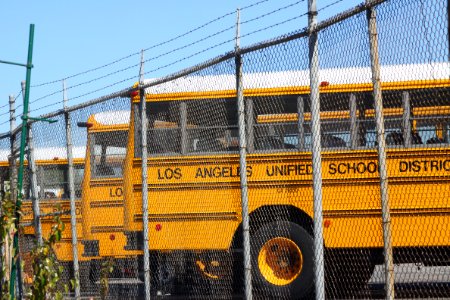 Emil lazarian, Yellow, Los angeles schools
