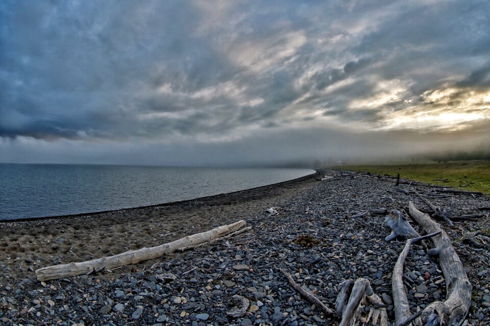 Dense fog driftwood mongolia