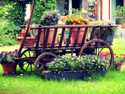 Green, Wagon, Flowers