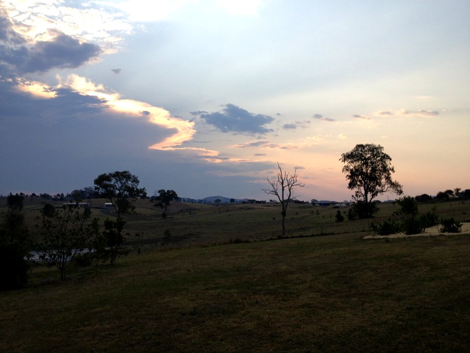 Kilcoy, Australia, Bush