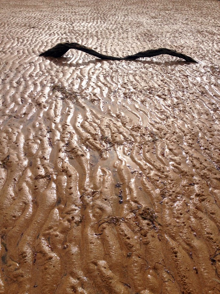 Phillip Island, Australia, Log