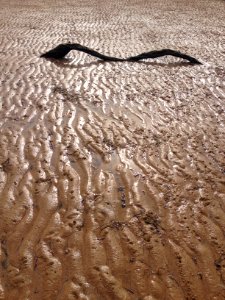 Phillip Island, Australia, Log