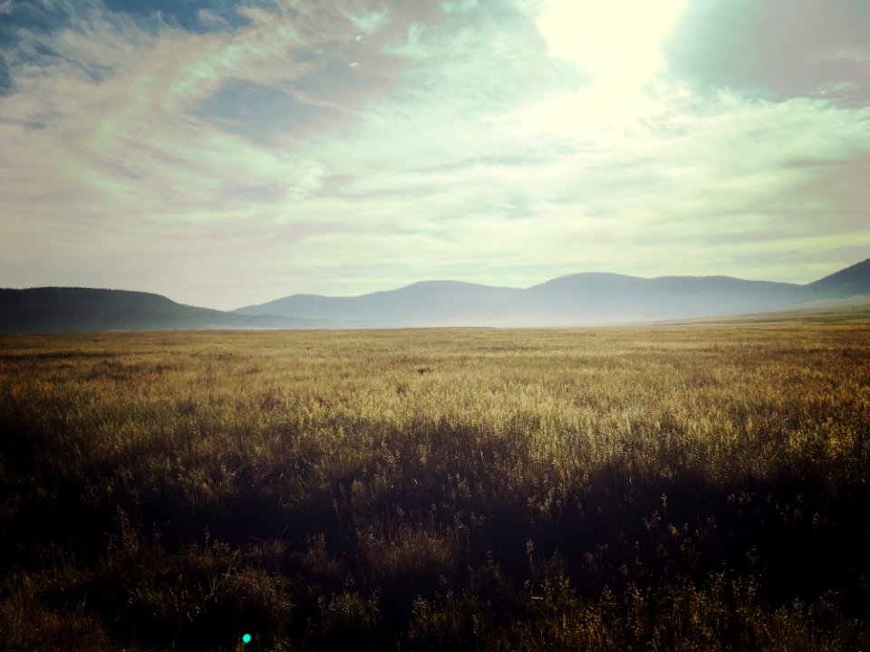 Valles caldera, United states, Field