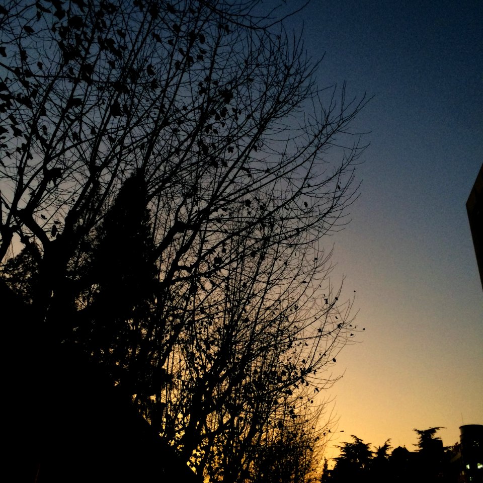 Shanghai, China, Sunset