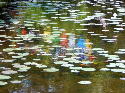 Reflection, Prayer flags, Lily pads photo