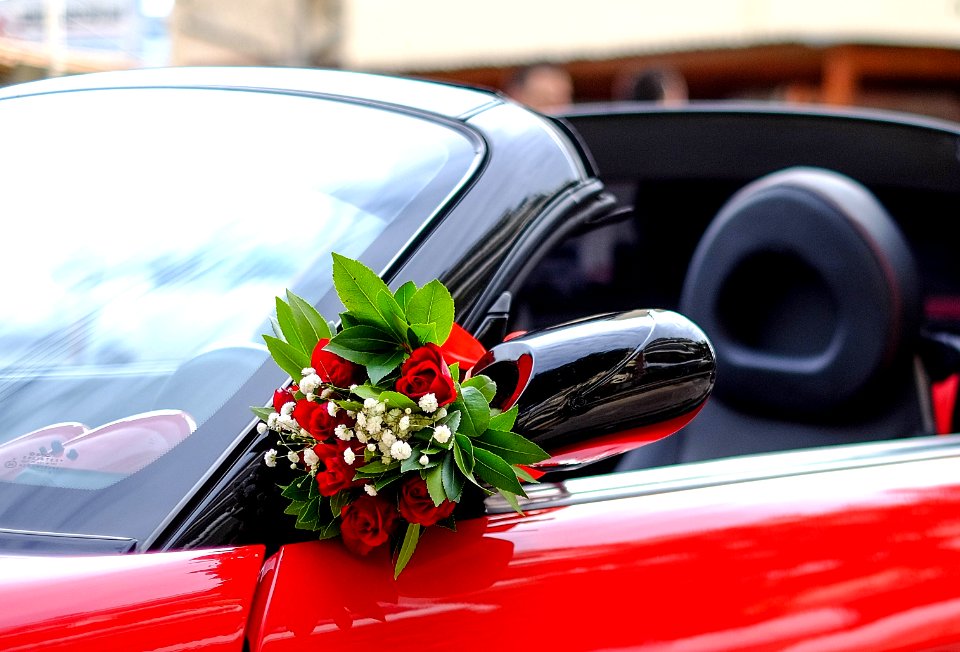 Flower, Roadster, Smart