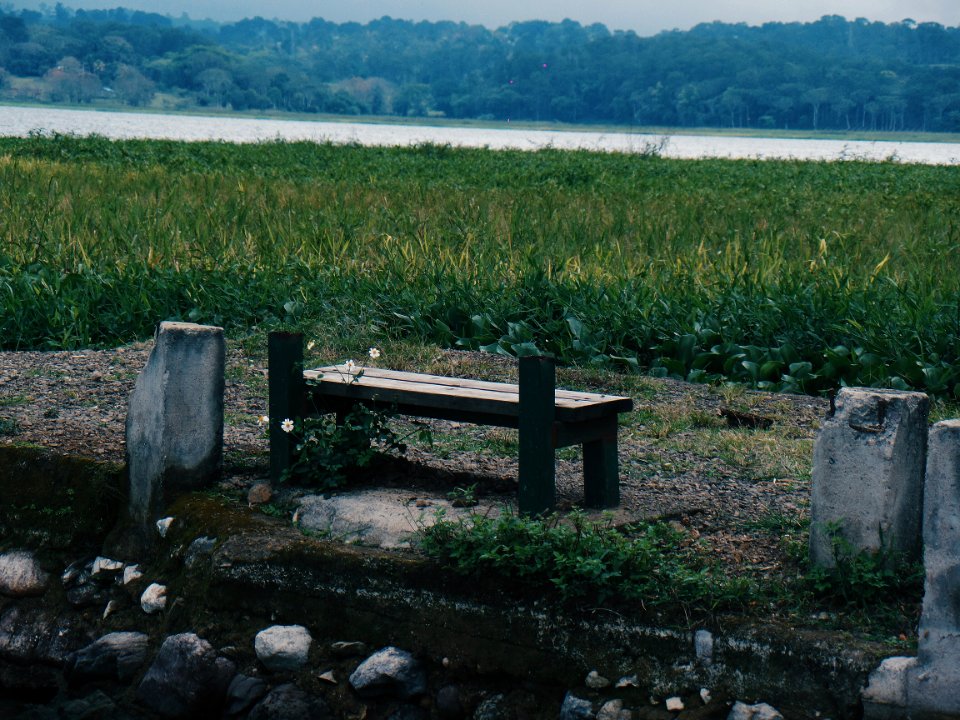 Lago de yojoa, Honduras, Forest