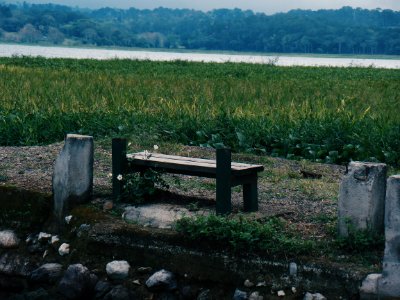 Lago de yojoa, Honduras, Forest