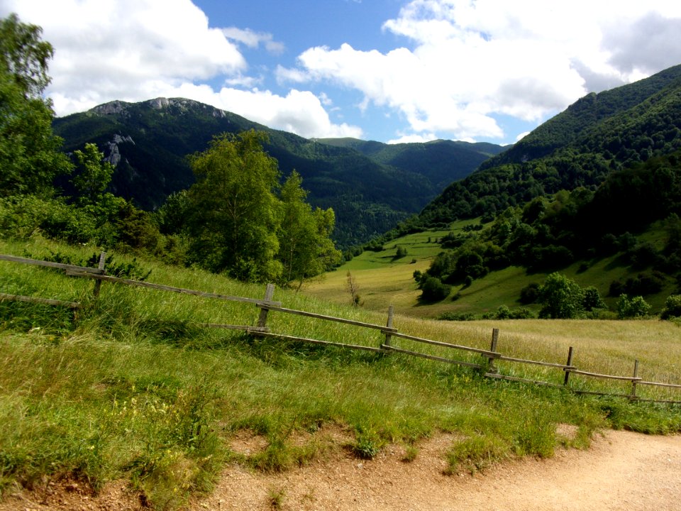 Sky, Mountain, Field