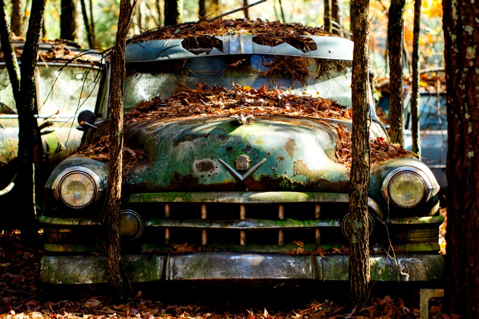 Old car city, White, United states