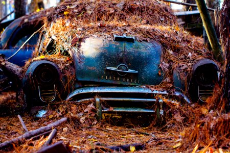 Old car city, White, United states
