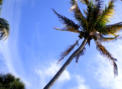 Fort lauderdale, United states, Paradise