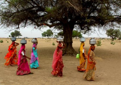 India, Women, Jaisalmer photo