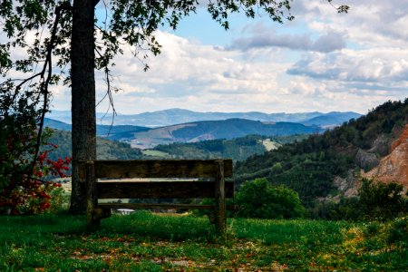 Forest, Scape, Hillside photo