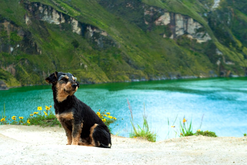 Friends, Ecuador, Little photo