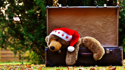 Teddy soft toy stuffed animal