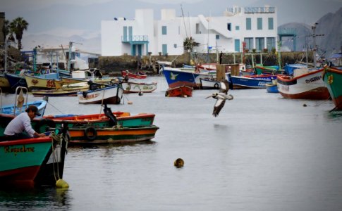 Pucusana district, Peru, Fishing