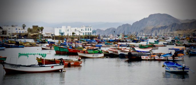 Peru, Pucusana district, Fishman photo