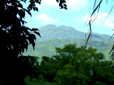 Puerto rico, El yunque national forest, Tropical forest photo