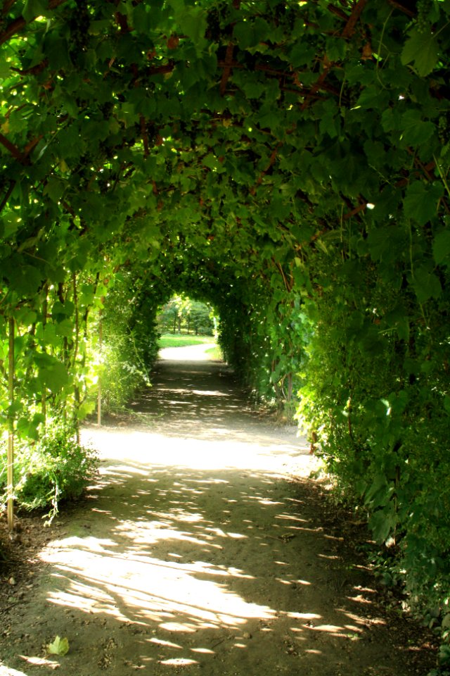 Petit trianon, Versailles, France