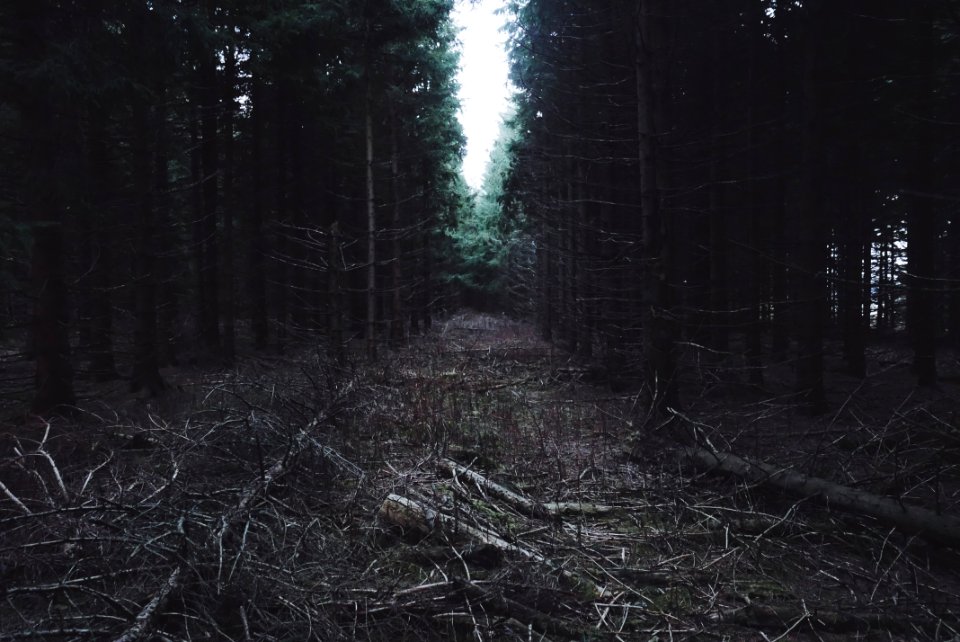 Saintfront, Frankrijk, Travel