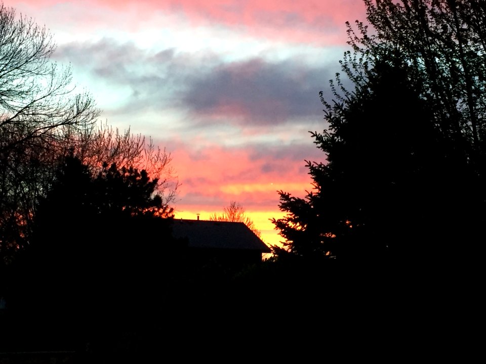 Skyline, Blue,  pink