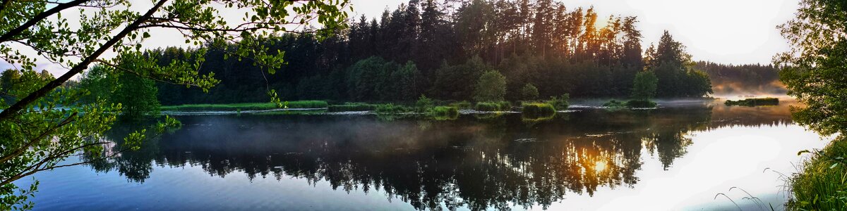 Borg nature the fog photo