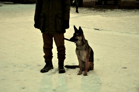 Pozna, Poland, Snowy