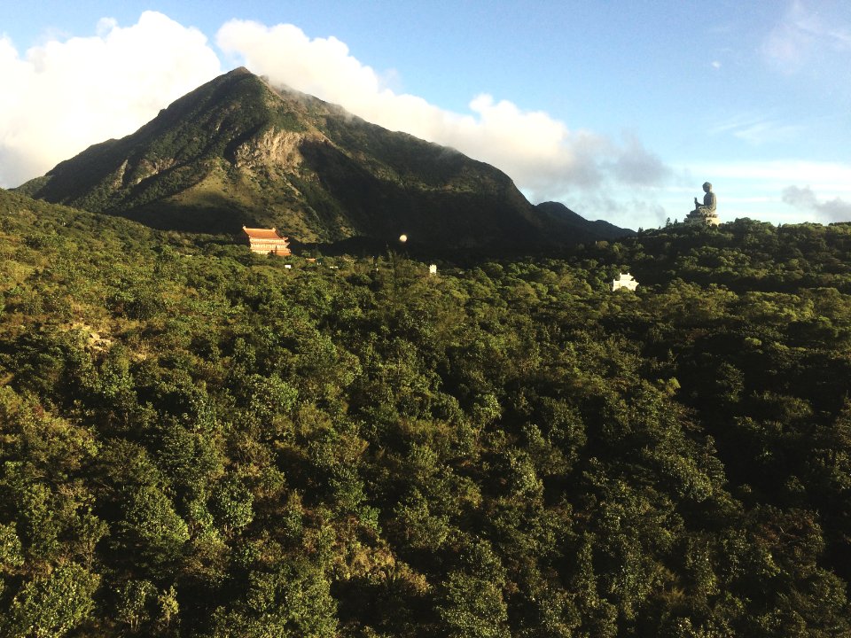 Hong kong, Tian tan buddha, Big