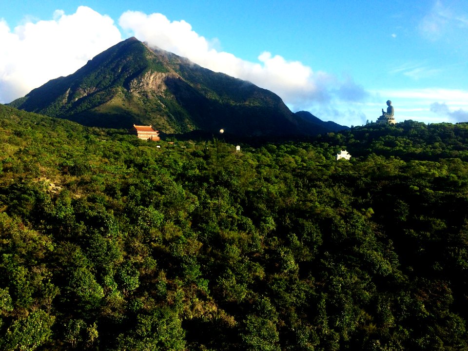 Hong kong, Forest, Trees